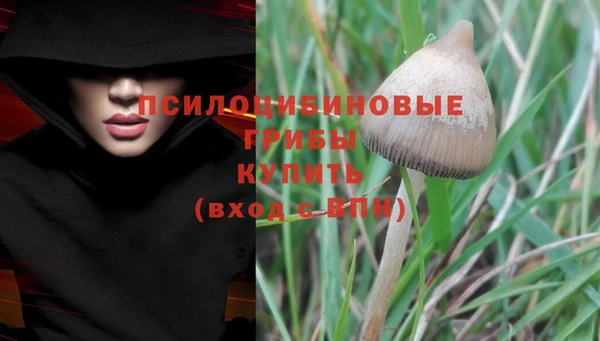 марки lsd Волосово