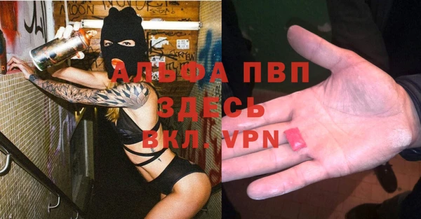 мяу мяу мука Вязьма