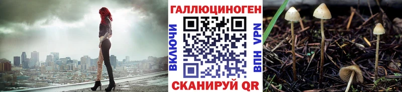 Псилоцибиновые грибы мухоморы  Купить закладки  Тула 